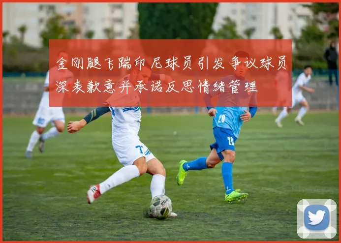金刚腿飞踹印尼球员引发争议球员深表歉意并承诺反思情绪管理