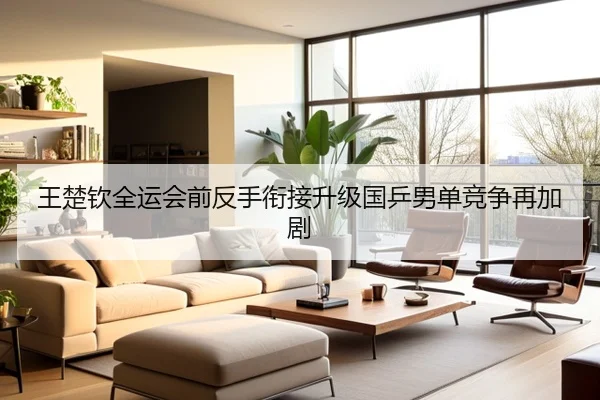 王楚钦全运会前反手衔接升级国乒男单竞争再加剧