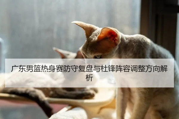 广东男篮热身赛防守复盘与杜锋阵容调整方向解析
